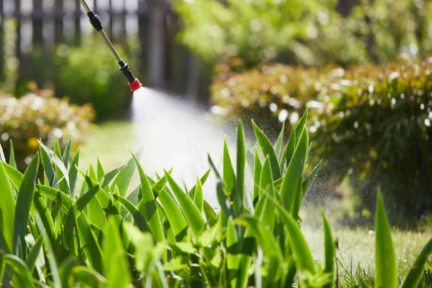 24/7 Emergency Wasp Removal experts in McKenzie, TN