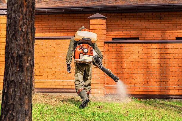 Top rated local Wasp Removal specialists in McKenzie, TN